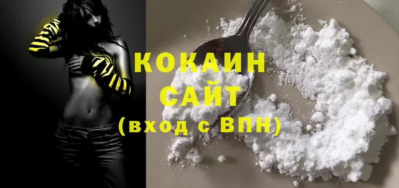 купить наркотики сайты  Саранск  Cocaine Fish Scale 