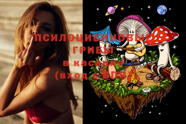 мяу мяу мука Лысково