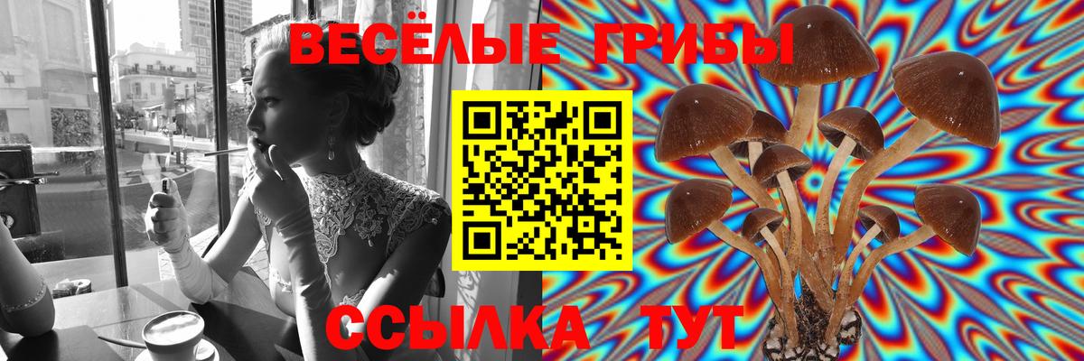 Галлюциногенные грибы Psilocybe  Вход с VPN  Саранск 