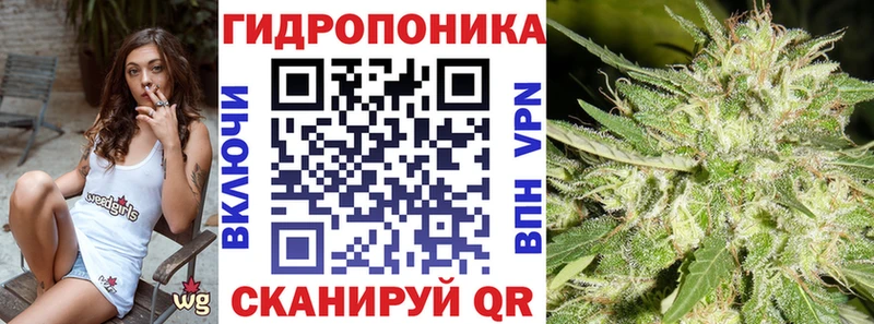 как найти наркотики  Саранск  Шишки марихуана AK-47 